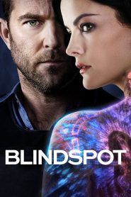 imagen Blindspot