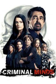 imagen Mentes Criminales (Criminal Minds)