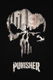 imagen Marvel - The Punisher