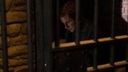 Imagen the-blacklist-20945-episode-17-season-5.jpg